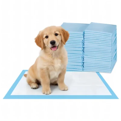 Bulk wholesale standard blue and white dog training pads with high absorbency fluff pulp core for pet hygiene.