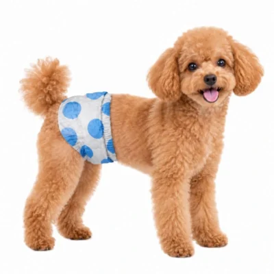 Blue Dot Pattern Disposable Male Dog Diapers