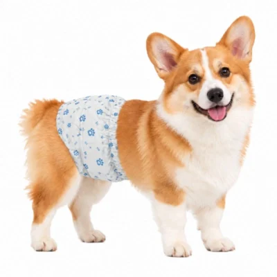 Blue Paw Print Disposable Male Dog Diapers